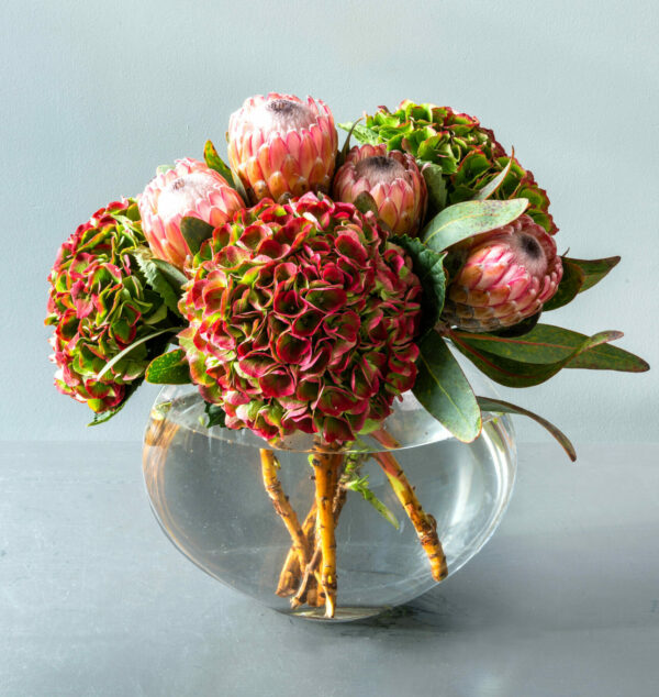 protea centraal